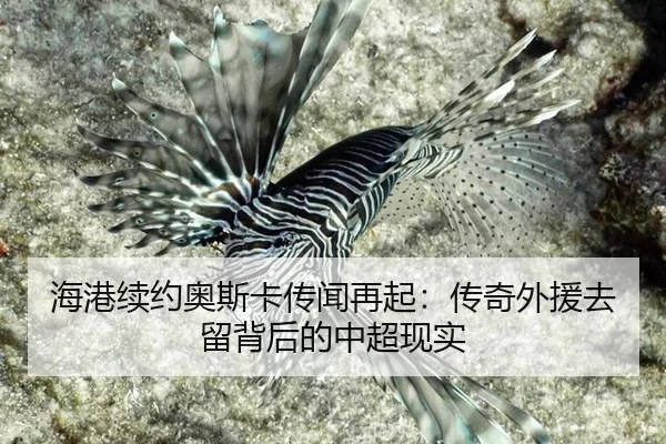 hai-gang-xu-yue-ao-si-ka-chuan-wen-zai-qi-chuan-qi-wai-yuan-qu-liu-bei-hou-de-zhong-chao-xian-shi-2-967.jpg