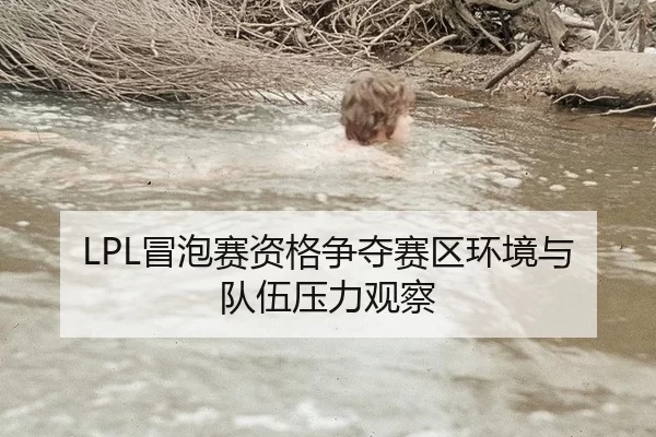 LPL冒泡赛资格争夺赛区环境与队伍压力观察